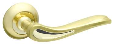 Door handles on rose 107 R02 SG/GP-4